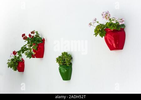 Vasi di fiori colorati appesi alla parete bianca. Alacati, Cesme, Smirne Foto Stock