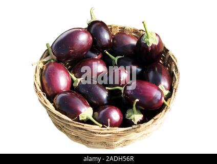 Colore porpora Brinjals fresca poste nel cestello di bambù su sfondo bianco Foto Stock