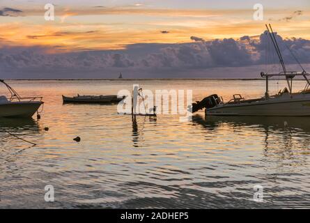 Stand Up Paddle boarder con il dog Riviere Noir o fiume nero beach, Tamarin, Mauritius, Isole Mascarene. Foto Stock