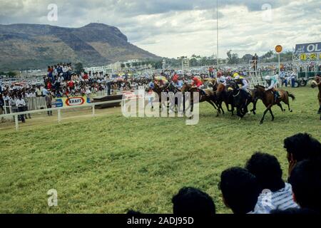 Champ de Mars Racecourse in Port Louis, Maurizio 1987. I cavalli sprint guardato fuori dalla folla. Foto Stock