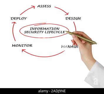 Schema di informazioni sul ciclo di vita della sicurezza Foto Stock