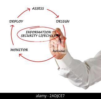 Schema di informazioni sul ciclo di vita della sicurezza Foto Stock
