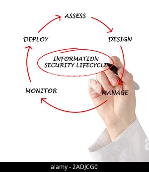 Schema di informazioni sul ciclo di vita della sicurezza Foto Stock