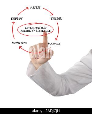 Schema di informazioni sul ciclo di vita della sicurezza Foto Stock