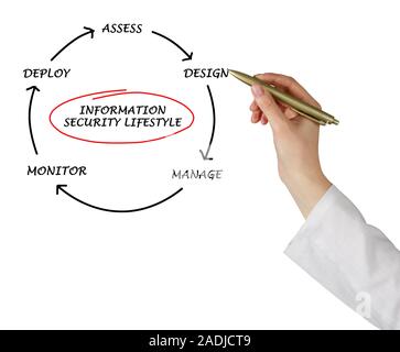 Schema di informazioni sul ciclo di vita della sicurezza Foto Stock