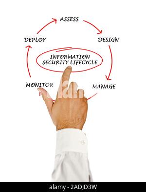 Schema di informazioni sul ciclo di vita della sicurezza Foto Stock