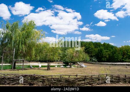 Grande pellicani bianchi rilassante sotto il caldo sole estivo nel giardino zoologico. Cielo blu, verdi alberi, recinzione di legno scenario. Foto Stock