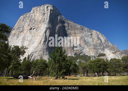 El Capitan visto da El Capitan Prato, Yosemite National Park, California, Stati Uniti d'America. Foto Stock
