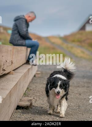 L uomo e il suo cane, Flatey Isola, Breidafjordur, Westfjords, Islanda Foto Stock