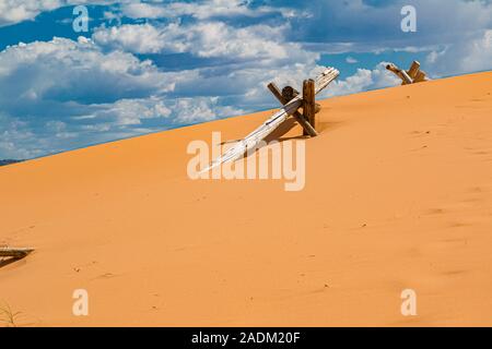 Parzialmente sepolti split cancellata in Coral Pink Sand Dunes State Park vicino a Kanab, Utah Foto Stock