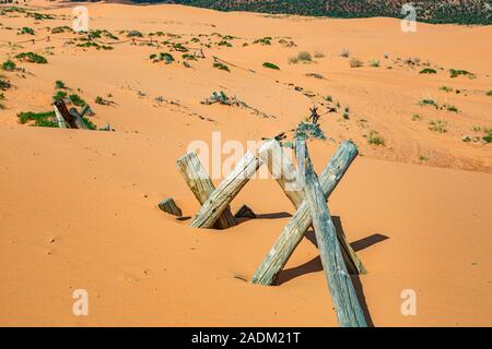 Parzialmente sepolti split cancellata in Coral Pink Sand Dunes State Park vicino a Kanab, Utah Foto Stock