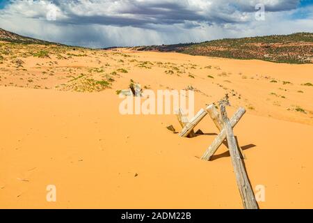 Parzialmente sepolti split cancellata in Coral Pink Sand Dunes State Park vicino a Kanab, Utah Foto Stock