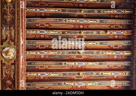 Francese, soffitto ornato, legno verniciato, disegni, travi, camera, Chateau Courmatin; castello del XVII secolo; la Borgogna; Taize; Francia, orizzontale Foto Stock