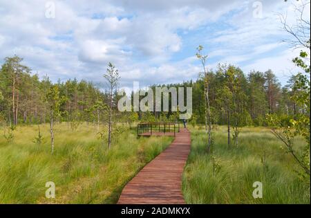 Palude Sestroretsk, San Pietroburgo, Russia-August 4, 2019: Donna che cammina su un sentiero in legno vicino al ponte di osservazione Foto Stock