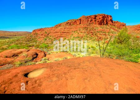 Vista panoramica di una parte superiore di Kalaranga Lookout con spettacolari vedute di arenaria rossa anfiteatro circondato da paesaggi robusto. Finke Gorge National Foto Stock