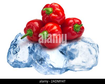 Pila di tutta l'Habanero hot peperoncini sul congelamento circa il ghiaccio tritato, isolato Foto Stock