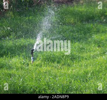 Impianto sprinkler automatico per irrigare il prato Foto Stock