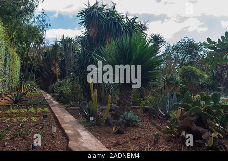 FUNCHAL, Portogallo - 04 novembre 2019: Tropicale Giardino Botanico nella città di Funchal, l'isola di Madeira, Portogallo Foto Stock