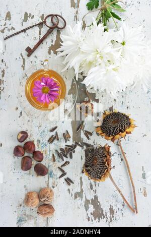 Mazzi di fiori di fresco, white crisantemi , una tazza di tè con un floating flower,essiccato girasoli,una vecchia chiave in metallo , semi di girasole ,le castagne e i dadi Foto Stock