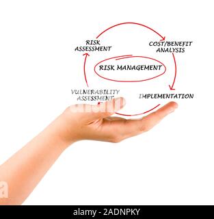 Schema di gestione del rischio Foto Stock