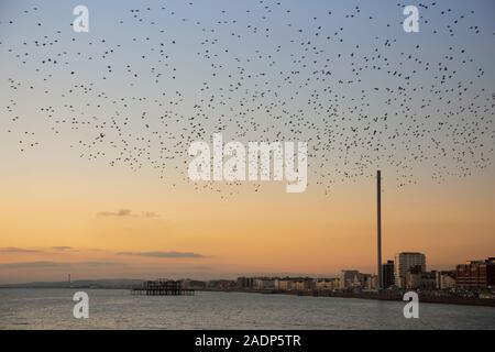 Stralings al crepuscolo in Brighton Foto Stock