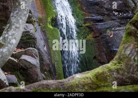 Messa a fuoco selettiva, incorniciato vista con una curva tree di una cascata di montagna a cascata verso il basso la scogliera di roccia ricoperti da muschio verde Foto Stock