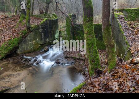 Vecchia Diga distrutta in calcestruzzo. Resti di un vecchio mulino in un bosco di latifoglie nella nebbia. La stagione autunnale. Foto Stock