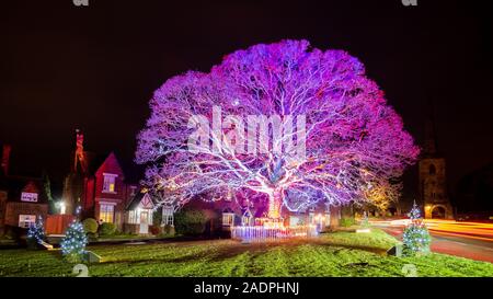 Villaggio Astbury albero illuminato per Natale Foto Stock