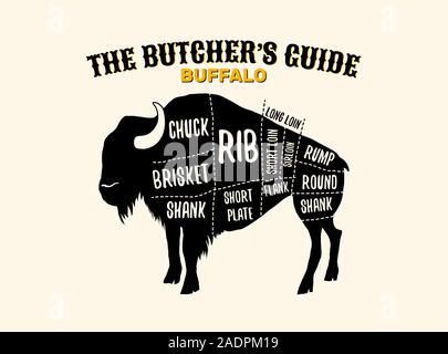 Buffalo grafici di taglio orizzontale del vettore illustrazione poster per i macellai shop guida. Etichetta per farm design Illustrazione Vettoriale