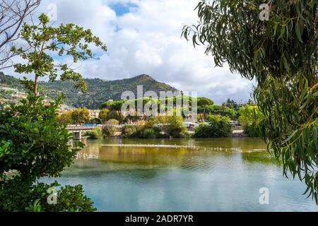 Il ponte sul fiume Roia, riempiti con i gabbiani e anatre con il villaggio italiano di Ventimiglia dietro sulla Riviera Italiana. Foto Stock