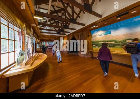 Giant Forest Museum espone circa gli incendi e di ecologia forestale nel Parco Nazionale di Sequoia, California, Stati Uniti d'America [Nessun modello di rilascio; disponibile per editoriale licen Foto Stock