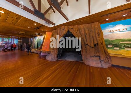 Giant Forest Museum espone circa gli incendi e di ecologia forestale nel Parco Nazionale di Sequoia, California, Stati Uniti d'America [Nessun modello di rilascio; disponibile per editoriale licen Foto Stock