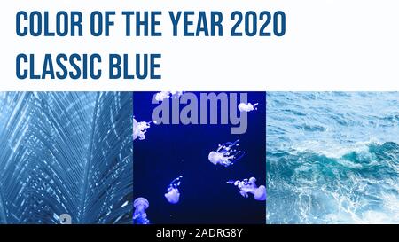Un collage di tre fotografie colorato in il colore dell'anno 2020 blu classico. Foto Stock