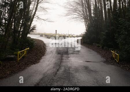 Strada d'ingresso all'area picnic del Cypress Bowl Provincial Park a West Vancouver, British Columbia, Canada Foto Stock