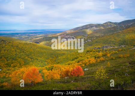 Paesaggio autunnale. Puerto de La Quesera, Riofrio de Riaza, provincia di Segovia Castilla Leon, Spagna. Foto Stock