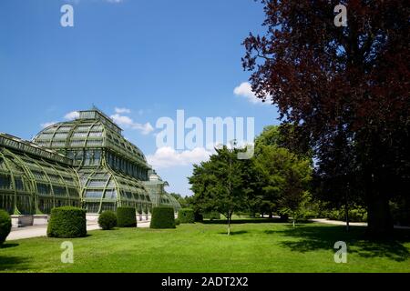 Serra nel Palazzo di Schonbrunn a Vienna Austria Foto Stock