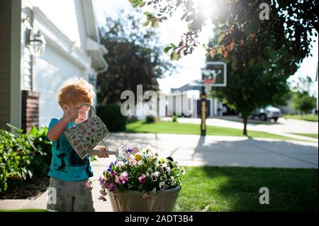 Il Toddler boy acque una pentola di pansy fiori nel cortile anteriore a casa Foto Stock