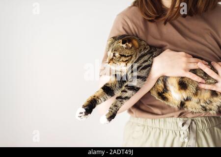 Giovane donna azienda bel gatto su sfondo bianco Foto Stock