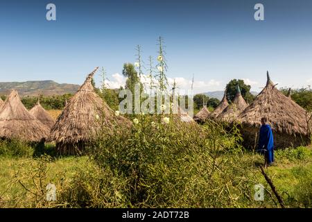 Etiopia, Amhara Region, Bahir Dar, Tissisat, tradizionale legno conica e case di fango con tetti di paglia Foto Stock