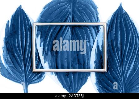 Creative layout blu fatto di foglie tropicali con scheda di metallo nota Foto Stock