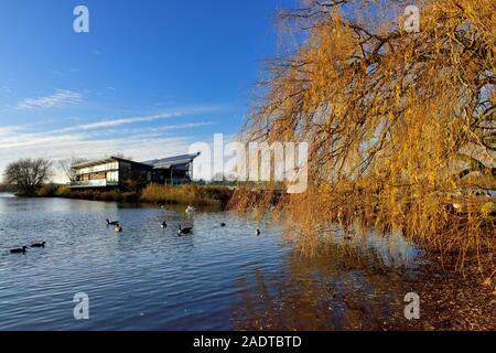 Attenborough riserva naturale, centro, Nottingham, Regno Unito Foto Stock