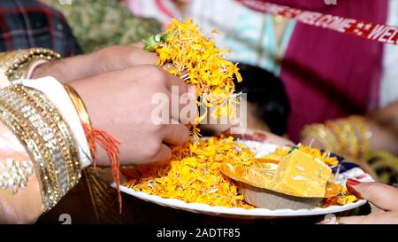 Indian damigella matrimonio baraat benvenuto cerimonia rituale Foto Stock