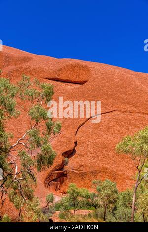 La passeggiata Mala va dal parcheggio di Mala alla Gola di Kantju lungo la base di Uluru (Ayres Rock). Uluru, territorio del Nord, Australia Foto Stock