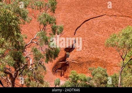 La passeggiata Mala va dal parcheggio di Mala alla Gola di Kantju lungo la base di Uluru (Ayres Rock). Uluru, territorio del Nord, Australia Foto Stock