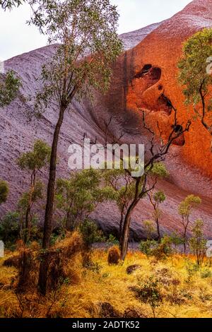 Uluru (Ayres Rock) sotto la pioggia dopo un lungo periodo di siccità. Uluru, Territorio del Nord, l'Australia Foto Stock