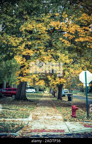 Oriente villaggio inglese di quartiere, Detroit, Michigan, Stati Uniti d'America Foto Stock