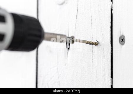 Un pannello truciolare vite viene avvitata in un bordo, tavola di legno è fissato con la vite con un cacciavite a batteria Foto Stock