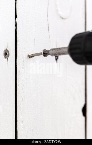 Un pannello truciolare vite viene avvitata in un bordo, tavola di legno è fissato con la vite con un cacciavite a batteria Foto Stock