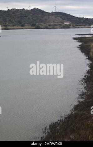 La bassa valle del Guadiana (al confine tra il Portogallo e la Spagna), un ecosistema di mosaico che comprenda acque di estuario, piccola scala frutteti, fluviali Foto Stock