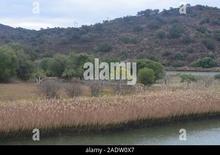 La bassa valle del Guadiana (al confine tra il Portogallo e la Spagna), un ecosistema di mosaico che comprenda acque di estuario, piccola scala frutteti, fluviali Foto Stock